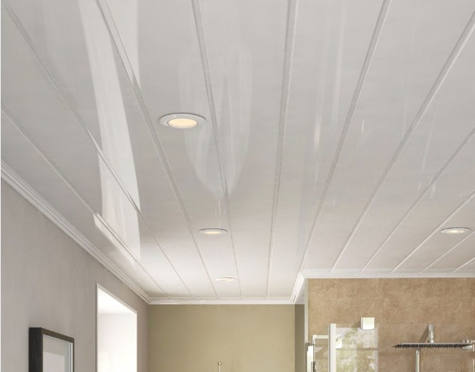 Ceiling 5